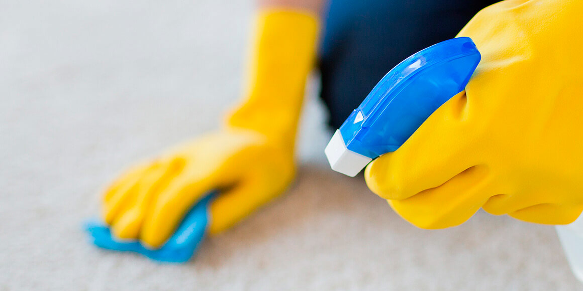 Domestic Cleaning Domestic Cleaning